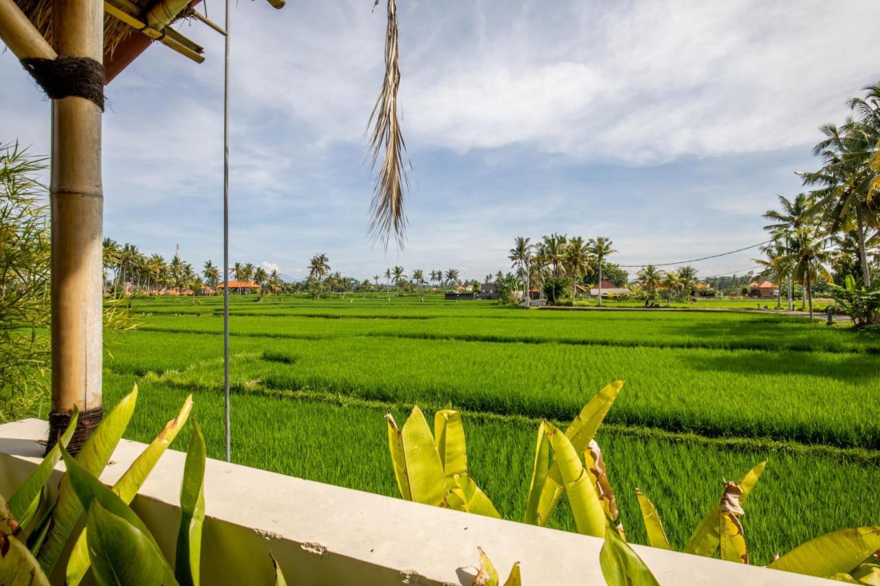 Sisin Ubud View Luaran gambar